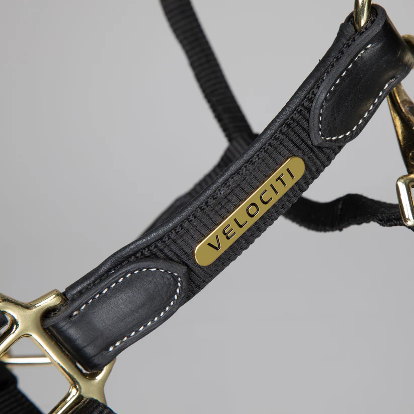 Collare In Pelle Imbottito Shires Velociti Lusso, Colore Borgogna - Per Cani