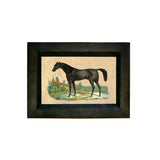 Madison Bay Co. Thoroughbred Horse Vintage Print Behind Glass