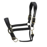 Arma Premium Nylon Halter with Leather Padding
