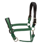 Arma Premium Nylon Halter with Leather Padding