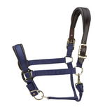 Arma Premium Nylon Halter with Leather Padding