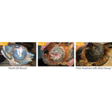 Silver Honey Hot Spot and Wound Repair