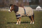 5/A Baker Expand-O Blanket Turnout for Foal & Pony