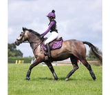 Aubrion Hyde Park Saddle Pad - Young Rider