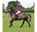 Aubrion Hyde Park Saddle Pad - Young Rider