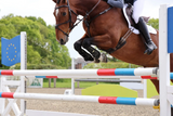 Arma Oxi-Zone Tendon Boot