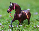 Breyer 4-Ever Friends Gift Set | Pink Perfection