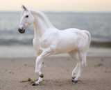 Breyer 4-Ever Friends Gift Set | Purple Power
