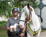 Breyer Hytyme Legend | KHP Mounted Police Horse