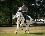 Breyer Hytyme Legend | KHP Mounted Police Horse