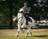 Breyer Hytyme Legend | KHP Mounted Police Horse