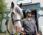 Breyer Hytyme Legend | KHP Mounted Police Horse