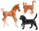 Breyer Mobile Rescue & Care Clinic