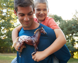 Breyer Sporthorse | Breyer 75th Annivarsary