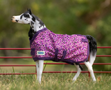 Breyer Traditional Colorful Blanket Assortment