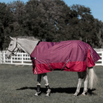 Equinavia Arktis Regular Neck Mid Weight 200G Turnout Blanket