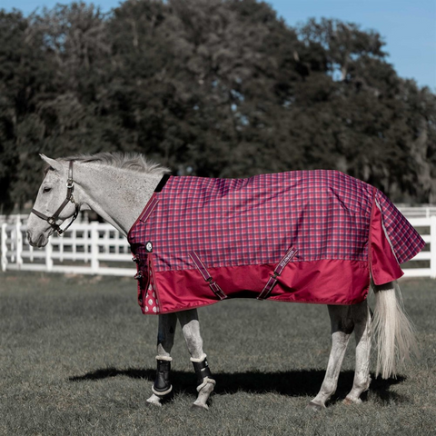 Equinavia Arktis Regular Neck Mid Weight 200G Turnout Blanket