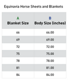 Equinavia Arktis TransitionFlex Turnout Blanket