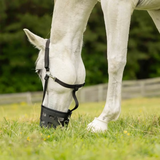Equinavia Breakaway Grazing Muzzle