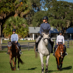 Equinavia Kristina Womens Full Seat Breeches