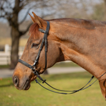 Equinavia Saga Bitless Bridle