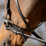 Equinavia Saga Bitless Bridle