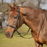 Equinavia Saga Bitless Bridle