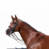 Equinavia Saga Double Bridle with Reins