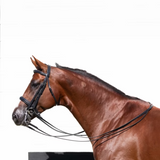 Equinavia Saga Double Bridle with Reins