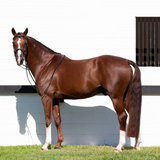 Equinavia Saga Double Bridle with Reins