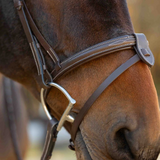 Equinavia Saga Fancy Stitch Detachable Flash Noseband