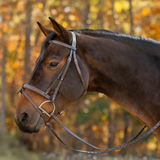 Equinavia Saga Fancy Stitch Detachable Flash Noseband
