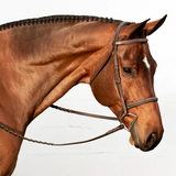 Equinavia Saga Fancy Stitched Hunter Bridle & Reins