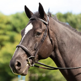 Equinavia Saga Fancy Stitched Hunter Bridle & Reins