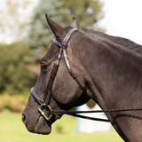 Equinavia Saga Fancy Stitched Hunter Bridle & Reins