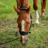 Equinavia Saga Fleece Padded Breakaway Halter