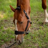Equinavia Saga Fleece Padded Breakaway Halter