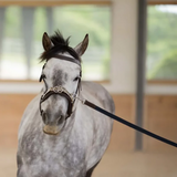 Equinavia Saga Lunge Line