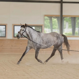 Equinavia Saga Lunge Line