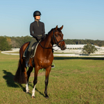 Equinavia Valkyrie Anatomic Dressage Bridle with Rubber Reins