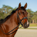 Equinavia Valkyrie Anatomic Dressage Bridle with Rubber Reins