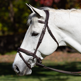 Equinavia Valkyrie Flash Bridle and Rubber Reins