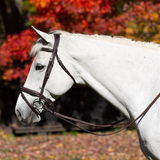 Equinavia Valkyrie Flash Bridle and Rubber Reins