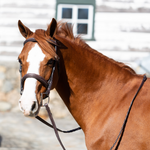 Equinavia Valkyrie Pony Fancy Stitched Bridle and Reins