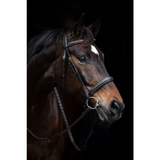 HKM Bridle -Hunter II-