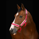 Horze Santa Christmas Halter
