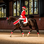 Horze Santa Harness