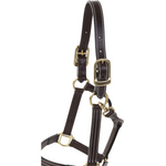 Huntley Equestrian Premium Tripple Stitched Leather Halter with Snap