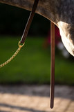 Huntley Equestrian Sedgwick Leather Traditional Lead with Solid Brass Chain