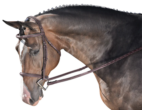 M. Toulouse Annice Hunter Bridle
